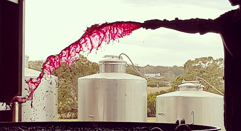 Pumping Over Red Ferments at Whicher Ridge - Whicher Ridge